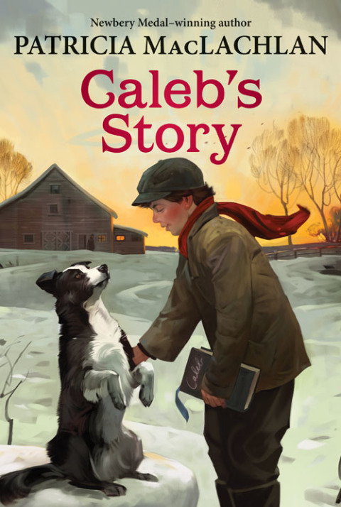 Cover image for book Caleb's Story