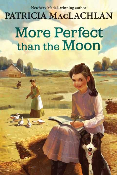 Cover image for book More Perfect than the Moon