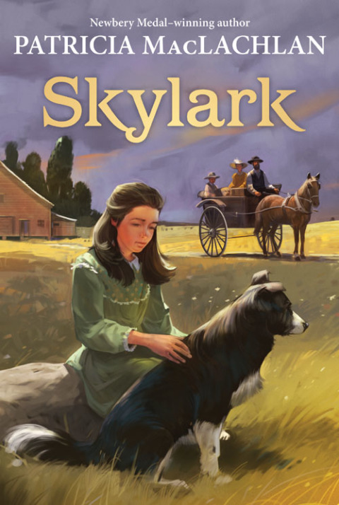 Cover image for book Skylark