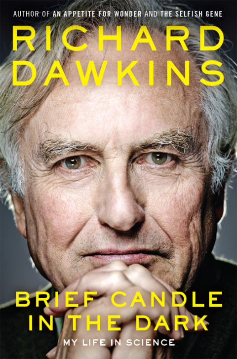 Cover image for book Brief Candle in the Dark