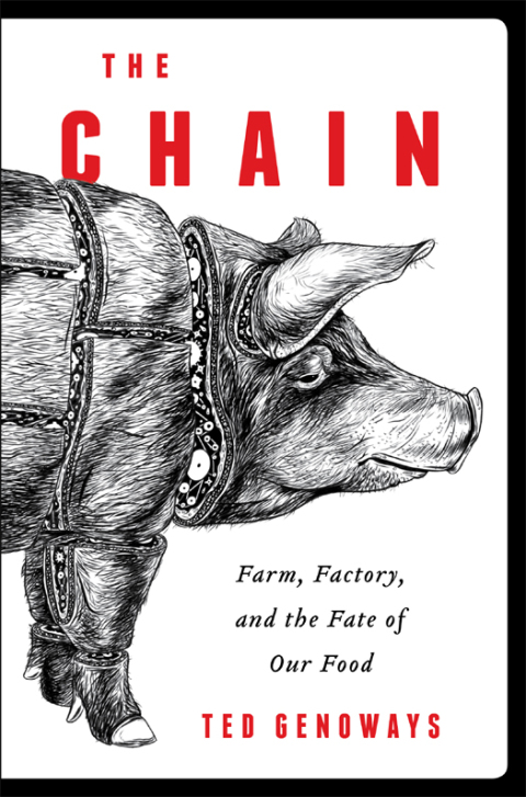 Cover image for book The Chain