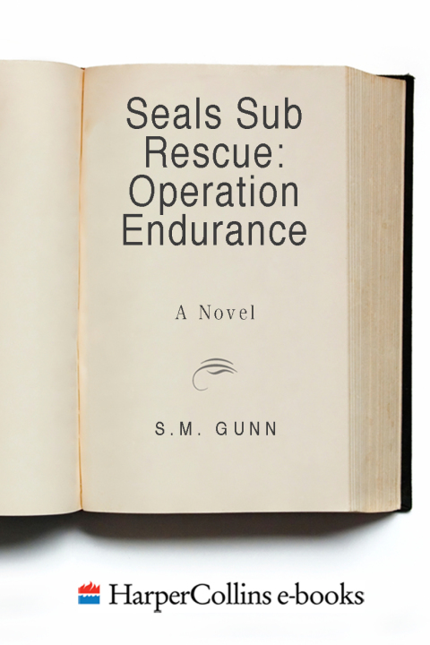 Cover image for book Seals Sub Rescue