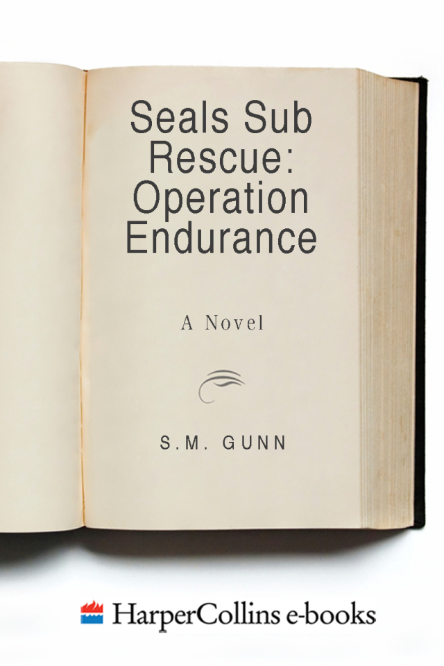 Seals Sub Rescue