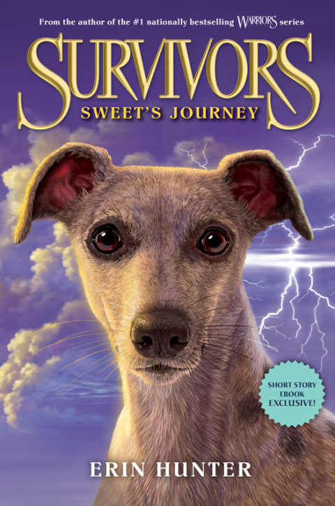 Cover image for book Survivors: Sweet's Journey