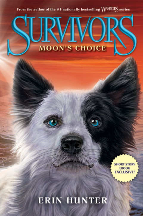 Cover image for book Survivors: Moon's Choice