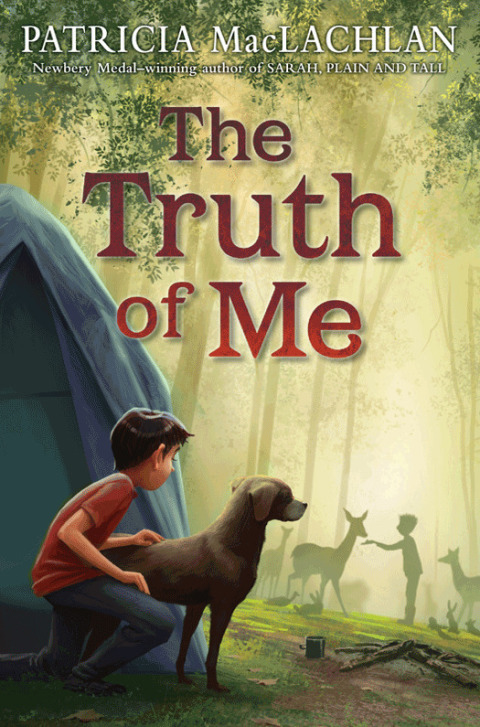 Cover image for book The Truth of Me