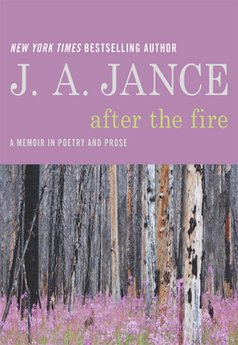 Cover image for book After the Fire
