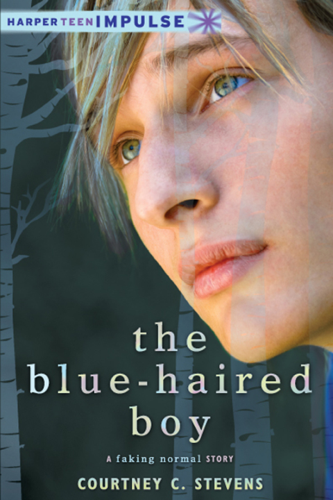 Cover image for book The Blue-Haired Boy