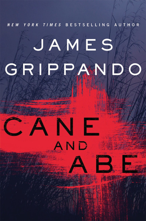 Cover image for book Cane and Abe