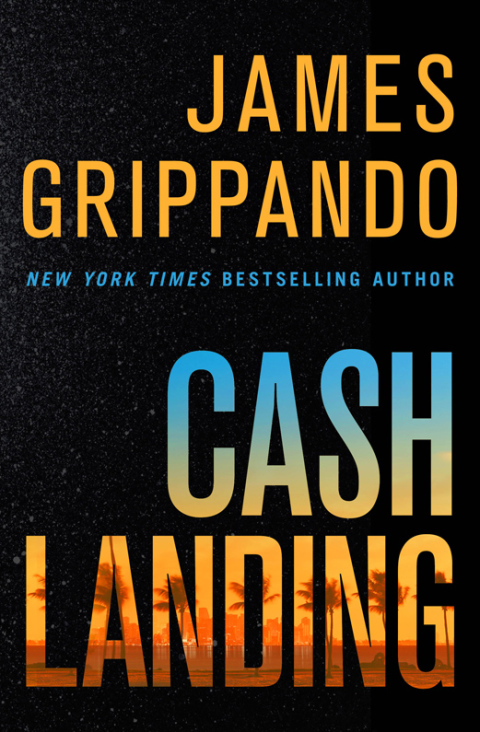 Cover image for book Cash Landing