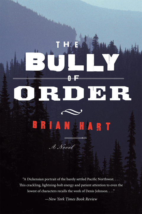 Cover image for book The Bully of Order
