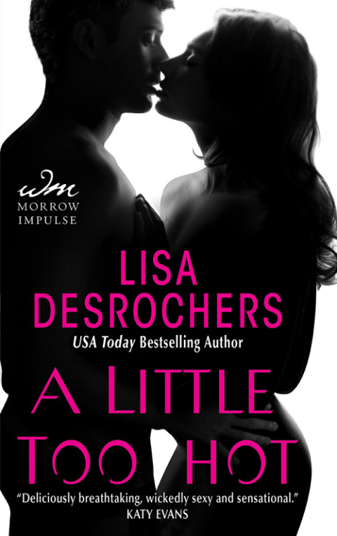 Cover image for book A Little Too Hot