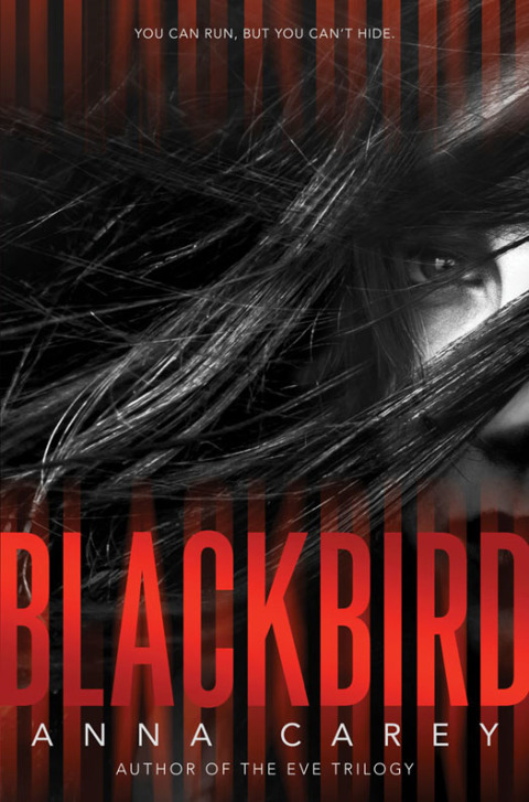 Cover image for book Blackbird
