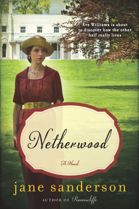 Cover image for book Netherwood