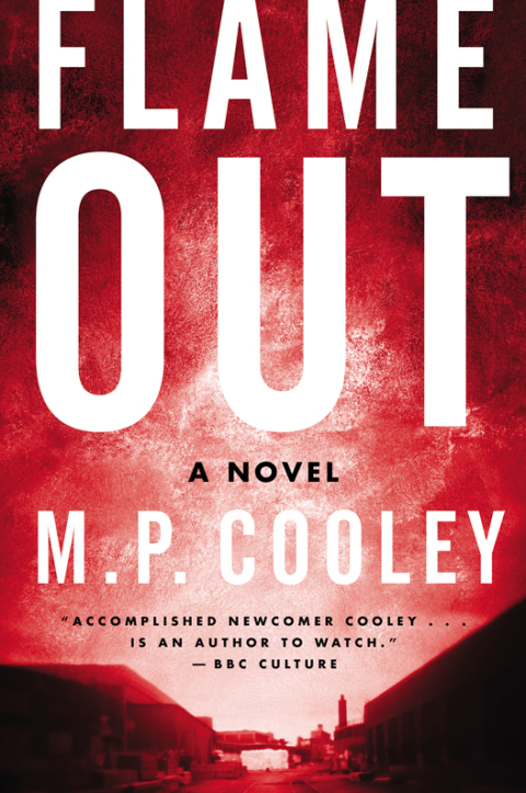 Cover image for book Flame Out