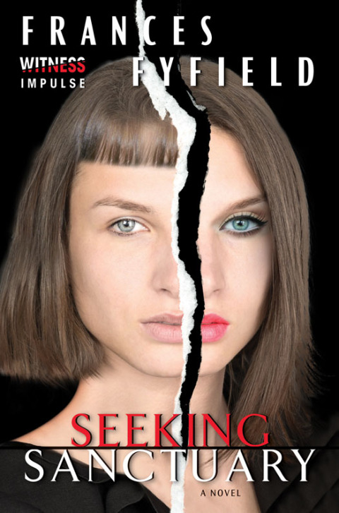 Cover image for book Seeking Sanctuary