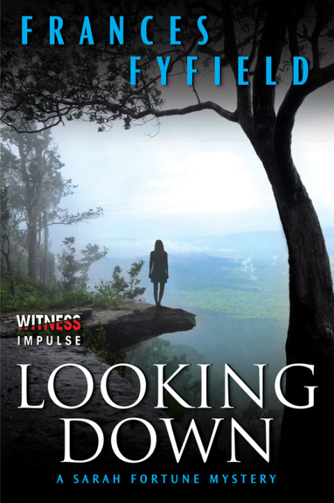 Cover image for book Looking Down