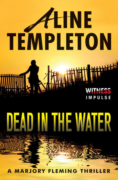 Cover image for book Dead in the Water