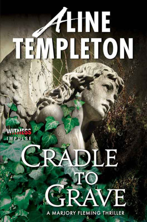 Cover image for book Cradle to Grave