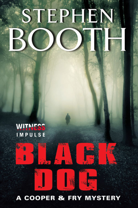 Cover image for book Black Dog