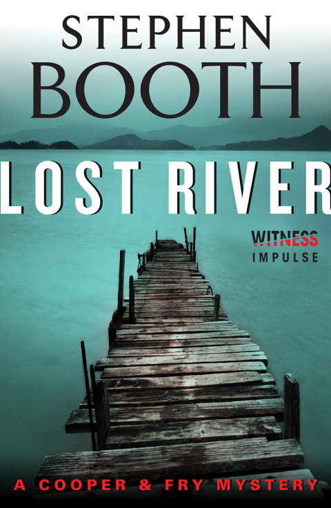 Cover image for book Lost River