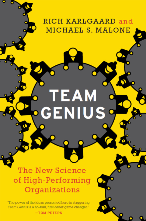 Cover image for book Team Genius
