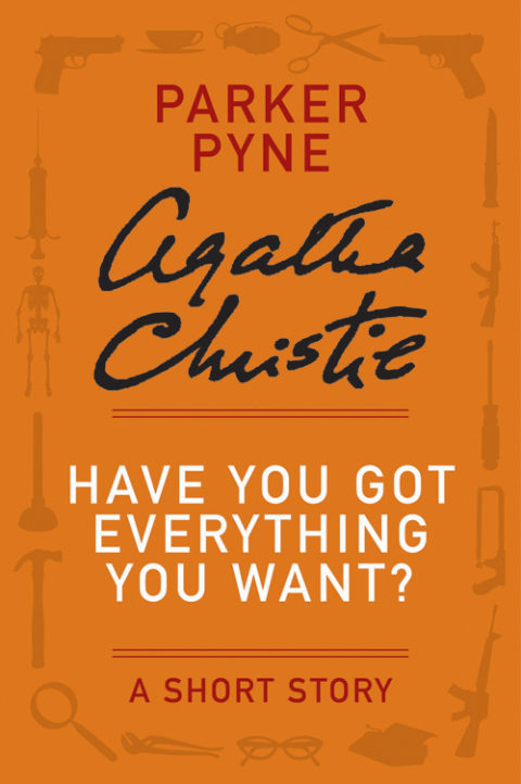 Cover image for book Have You Got Everything You Want?