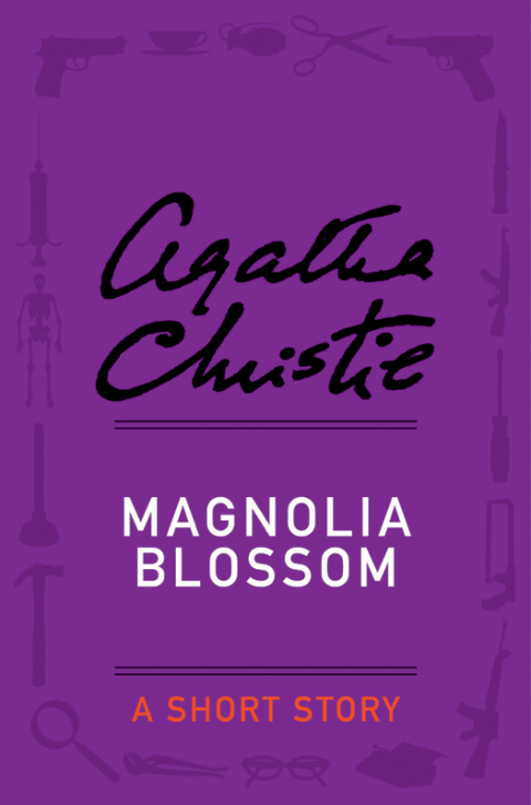 Cover image for book Magnolia Blossom