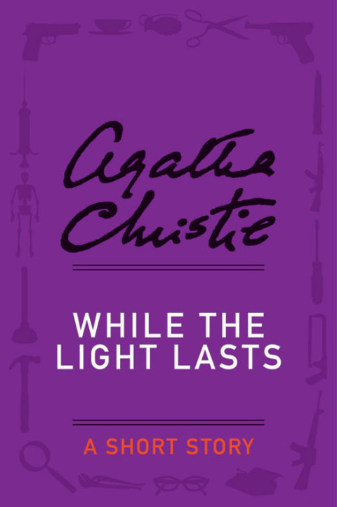 Cover image for book While the Light Lasts
