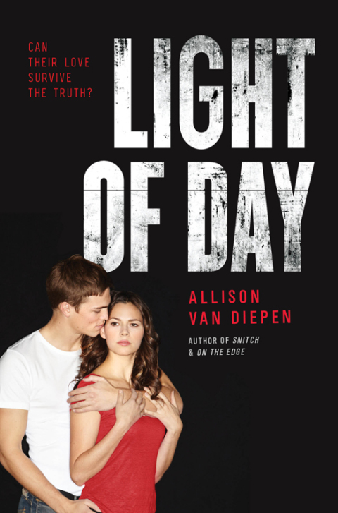 Cover image for book Light of Day