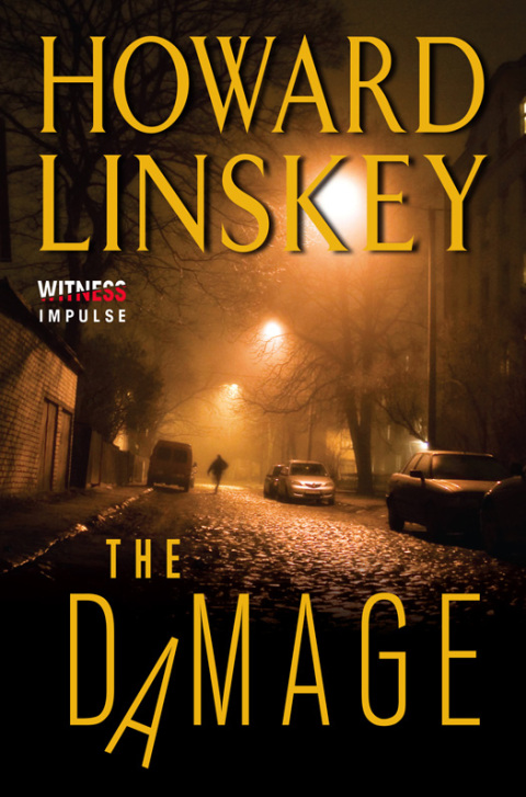 Cover image for book The Damage