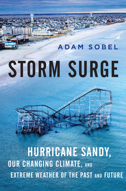 Cover image for book Storm Surge