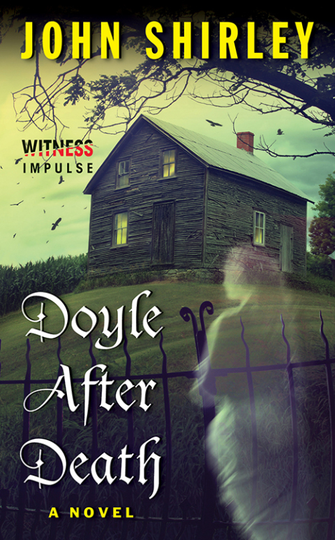 Cover image for book Doyle After Death