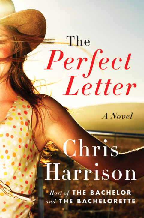 Cover image for book The Perfect Letter