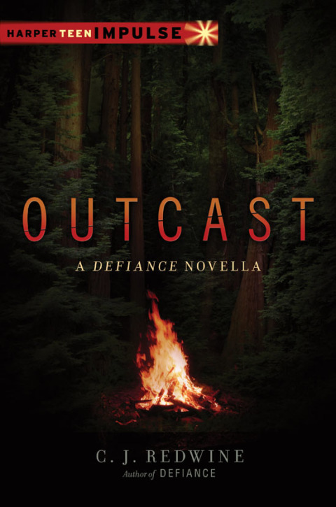 Cover image for book Outcast