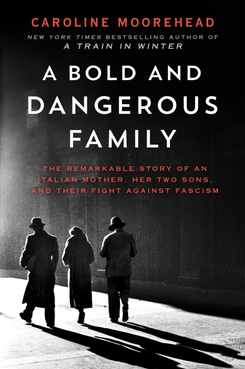 Cover image for book Bold and Dangerous Family, A