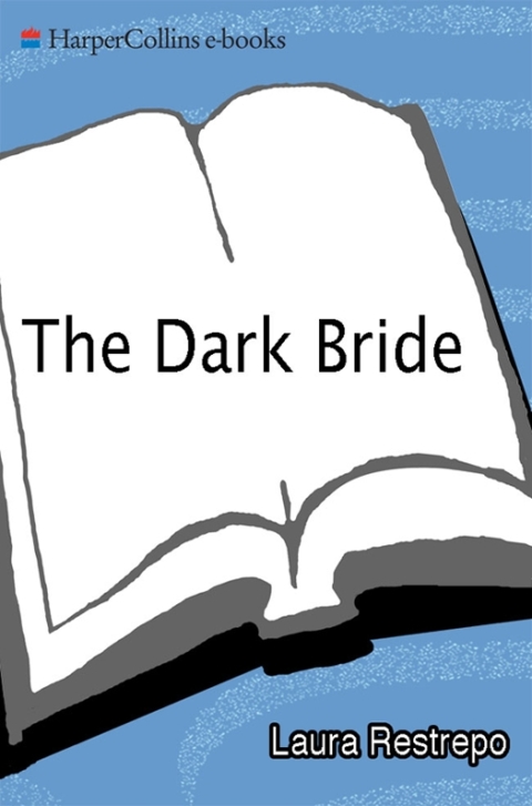 Cover image for book The Dark Bride