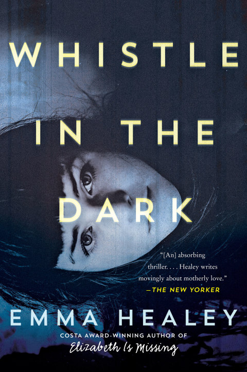 Cover image for book Whistle in the Dark