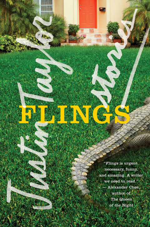 Cover image for book Flings