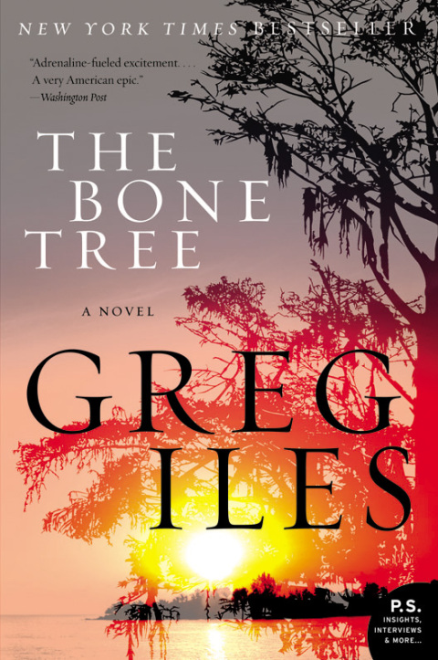 Cover image for book The Bone Tree