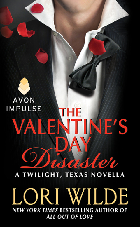 Cover image for book The Valentine's Day Disaster