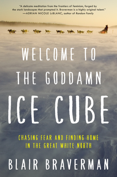 Cover image for book Welcome to the Goddamn Ice Cube