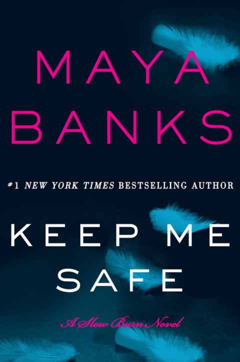 Cover image for book Keep Me Safe