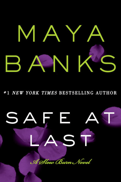 Cover image for book Safe at Last