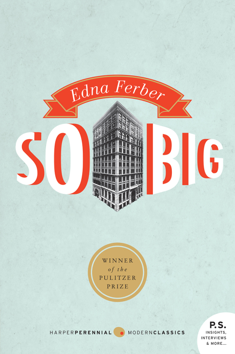 Cover image for book So Big