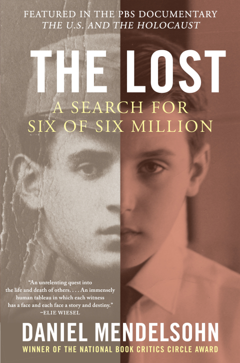Cover image for book The Lost