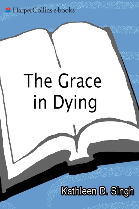Cover image for book The Grace in Dying