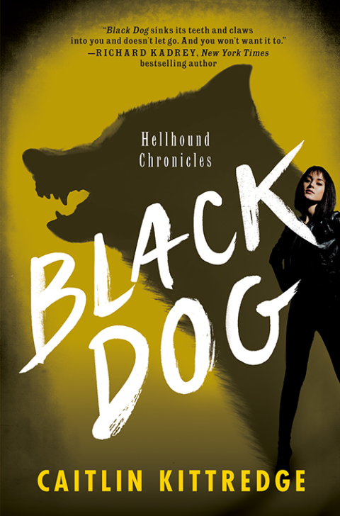 Cover image for book Black Dog