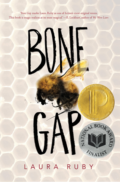 Cover image for book Bone Gap
