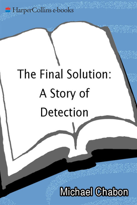 Cover image for book The Final Solution
